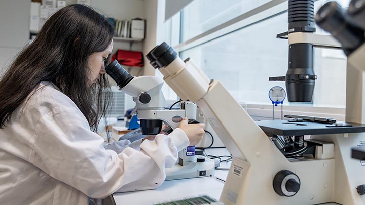 A postgraduate researcher looking down a microscope.