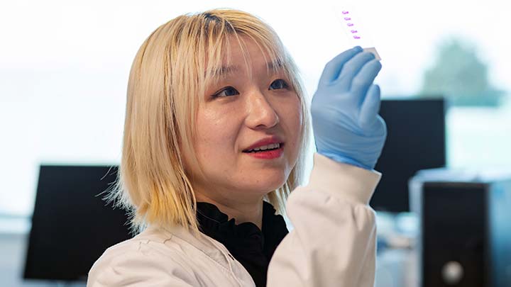 Mang Xu, a postgraduate research student in the lab.