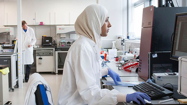 A postgraduate researchers analysing data in the lab.