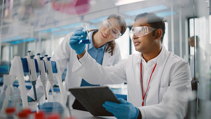 Researchers working together on a research project in the lab.