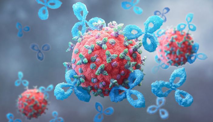 A blood red cell representing immunology