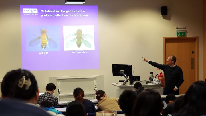 A researcher giving a presentation.