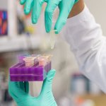 Gloved hands of a researcher holding up a test tube from a tray to examine