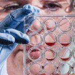 Researcher looking at blood samples