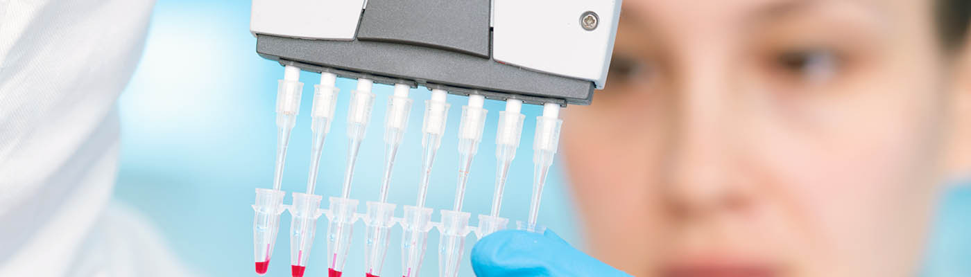 Researcher using a multi-channel pipette.